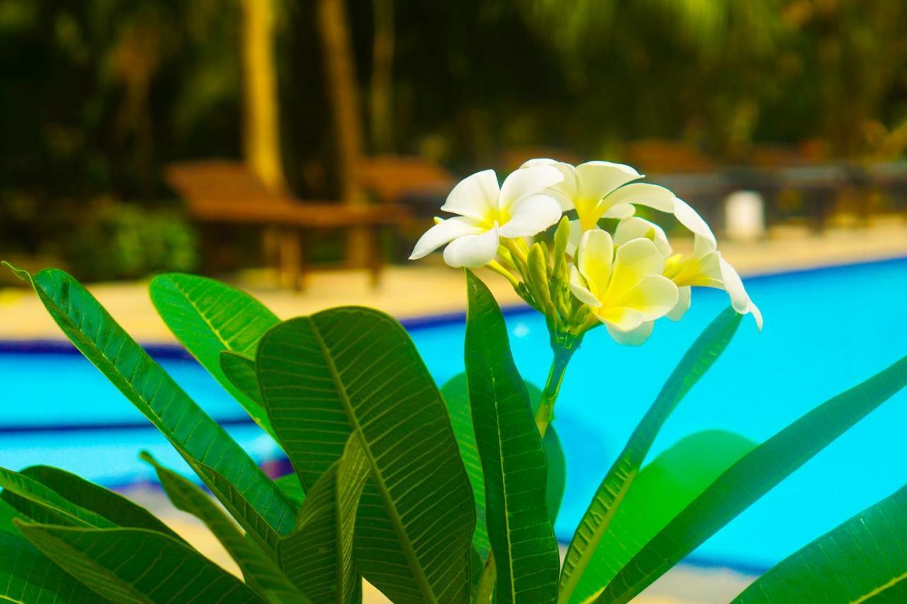 Green Garden Cabanas Tangalle Exterior foto